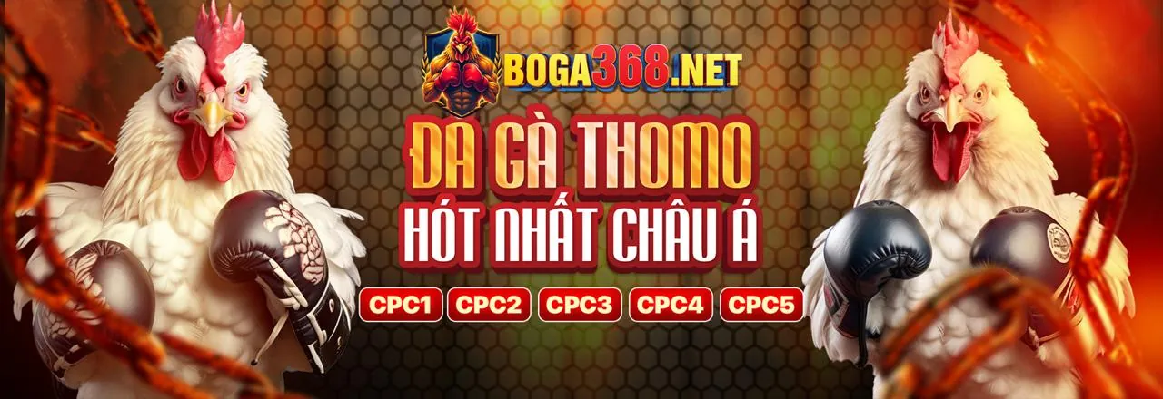 Chương Trình VIP ev88vn Casino – Đặc Quyền Dành Cho Hội Viên