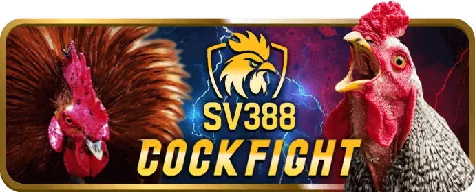 Thưởng nạp lại hàng ngày và hoàn trả hàng tuần ev88vn casino