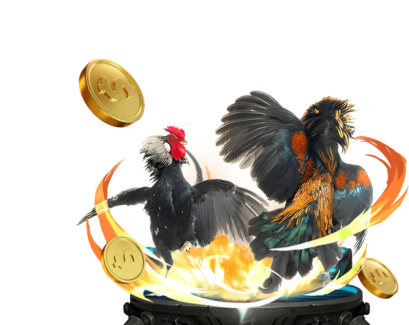 Chương trình VIP và thưởng thành viên thân thiết tại ev88vn casino